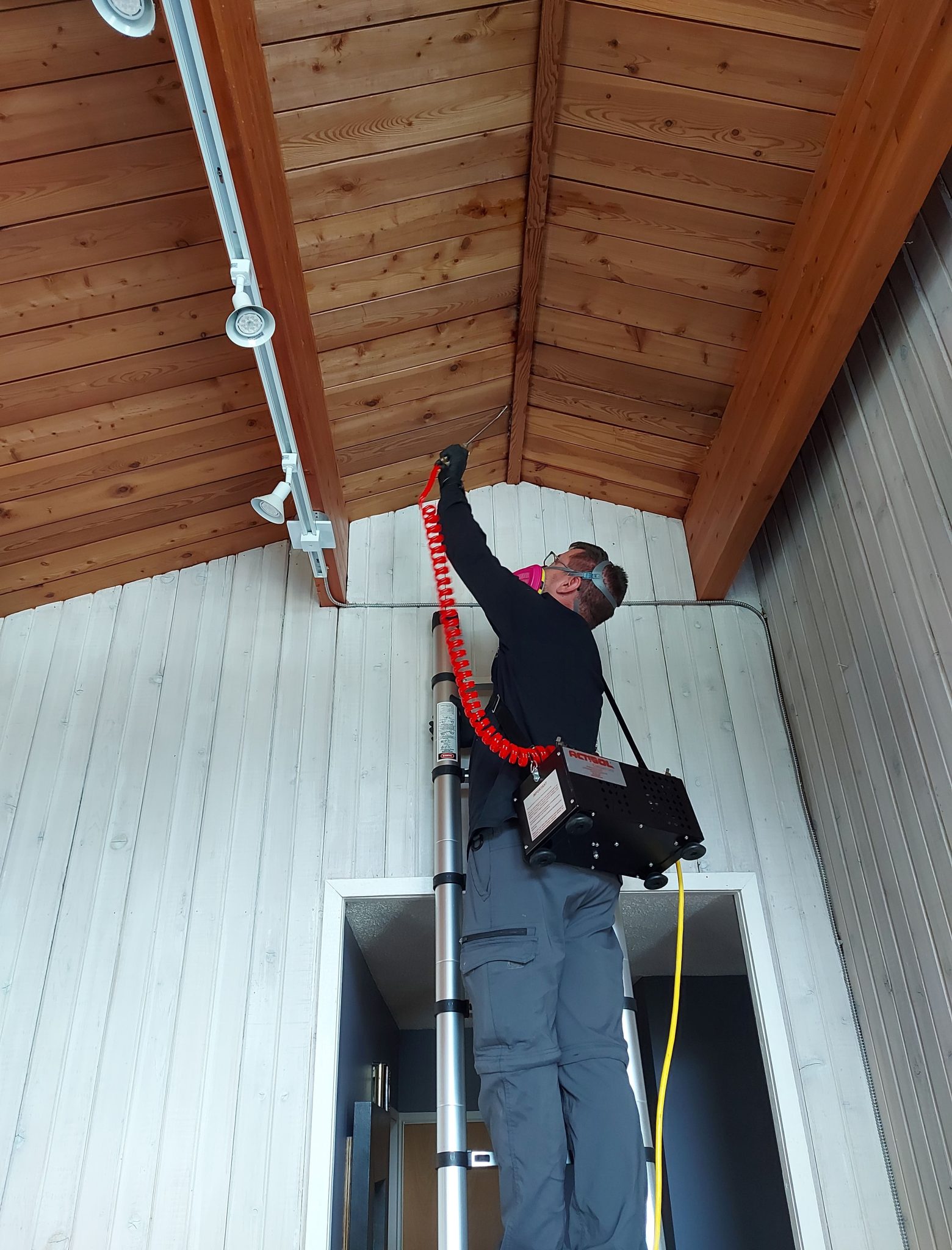 Pest Control Calgary